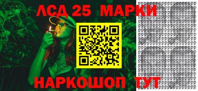 стаф Будённовск