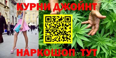 стаф Будённовск