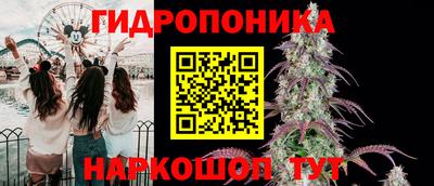 стаф Будённовск