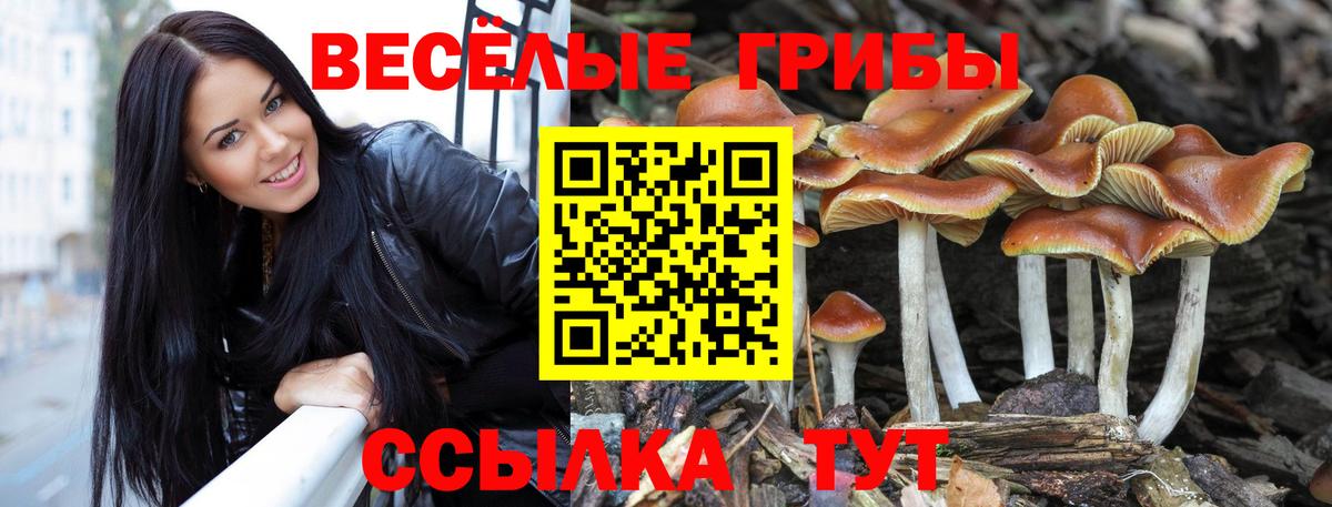 Галлюциногенные грибы Magic Shrooms  Вход с VPN  Ярославль 